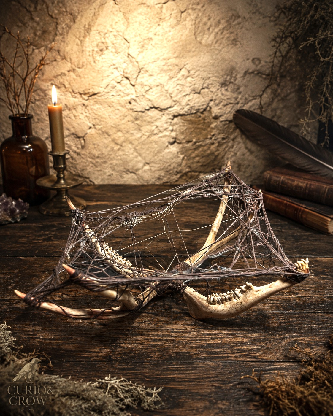 Jawbone Web Sculpture
